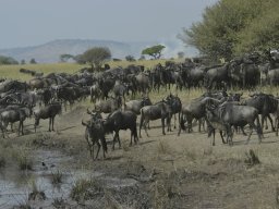 Western_Corridor_(Kirawira)2003-071